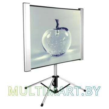 Проекционный экран CACTUS TriAlExpert 102x180 (CS-PSTALE-180X102)